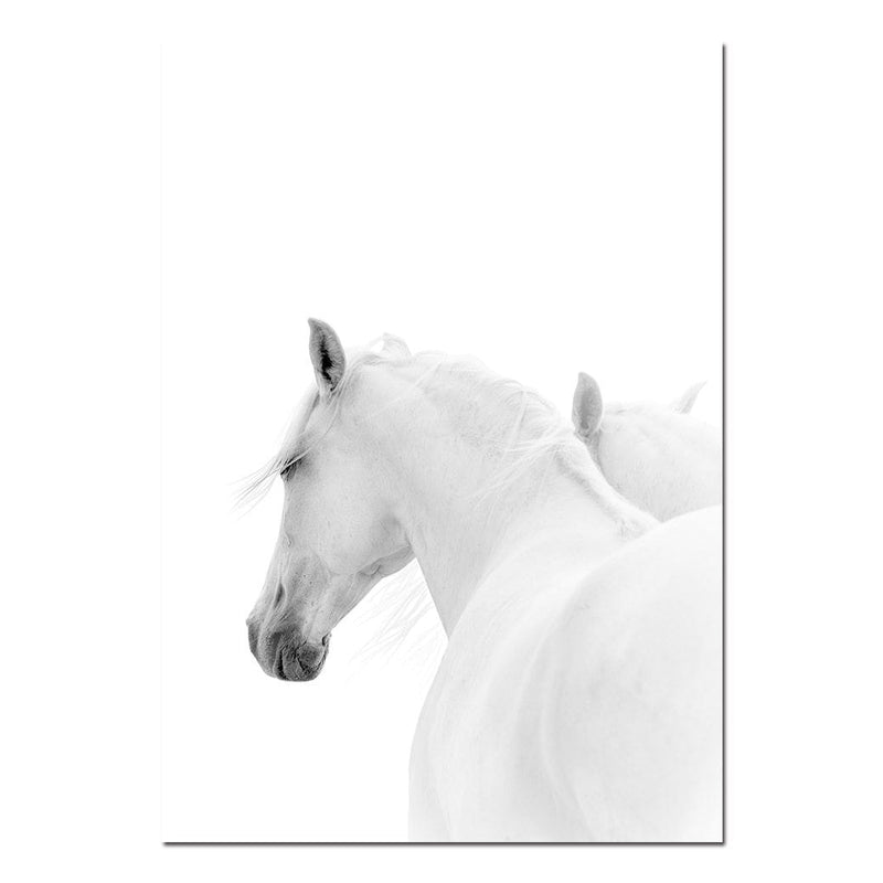 White Horse Wall Art