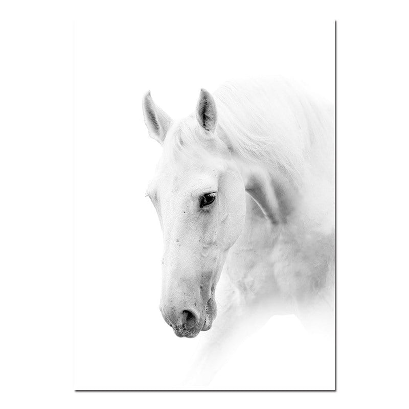 White Horse Wall Art