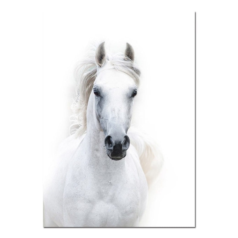 White Horse Wall Art