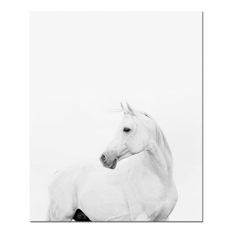 White Horse Wall Art