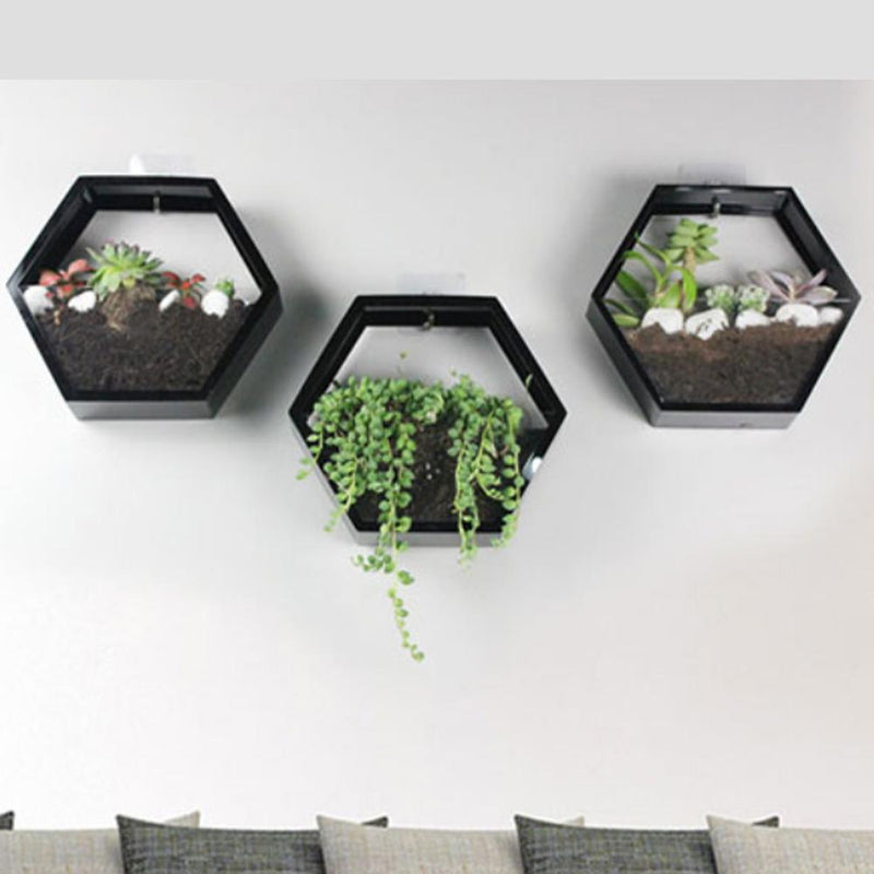 Hexagonal Hydroponic Wall Planter