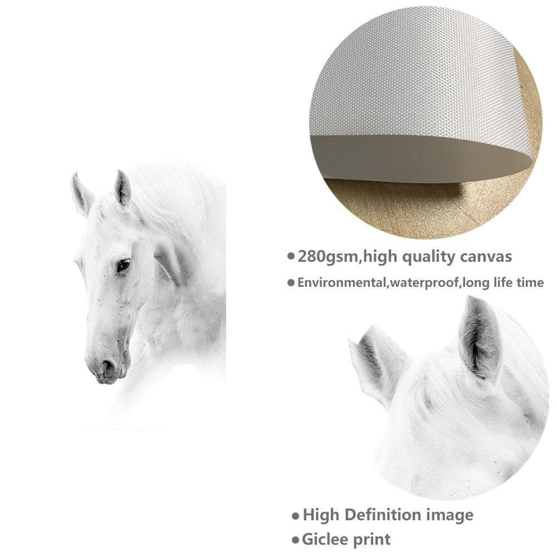 White Horse Wall Art